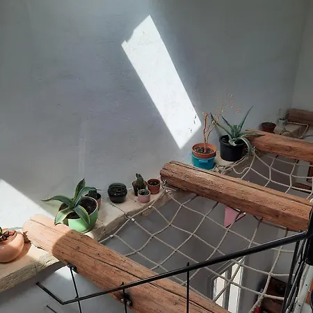 Apartment Atypical In